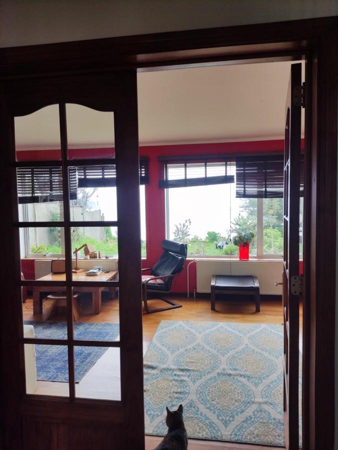 Acomodação com café da manhã  Buenavida Hostel, Habitacion Amplia Con Bano En Y Vista Al Mar *