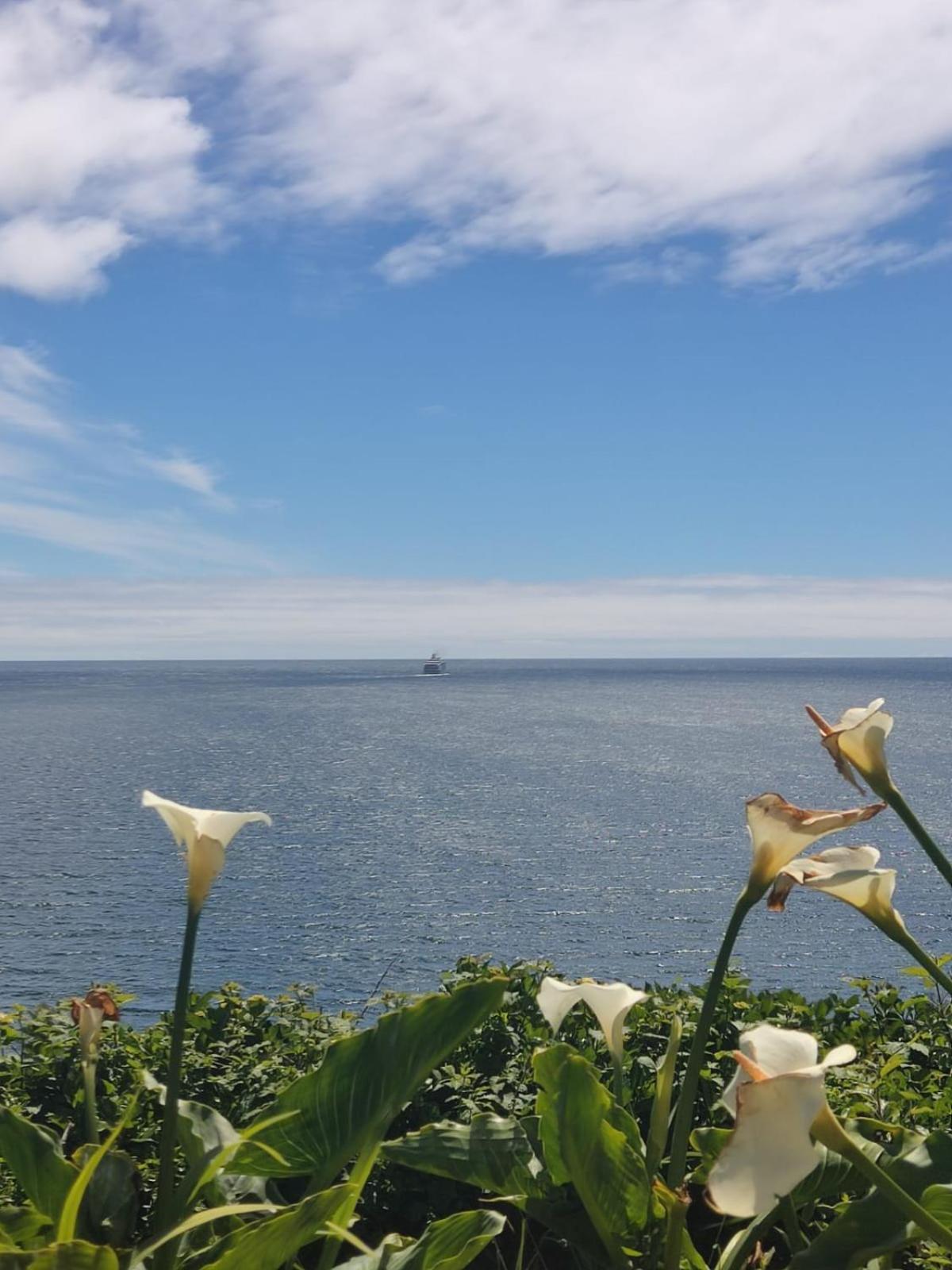 Acomodação com café da manhã  Buenavida Hostel, Habitacion Amplia Con Bano En Y Vista Al Mar *